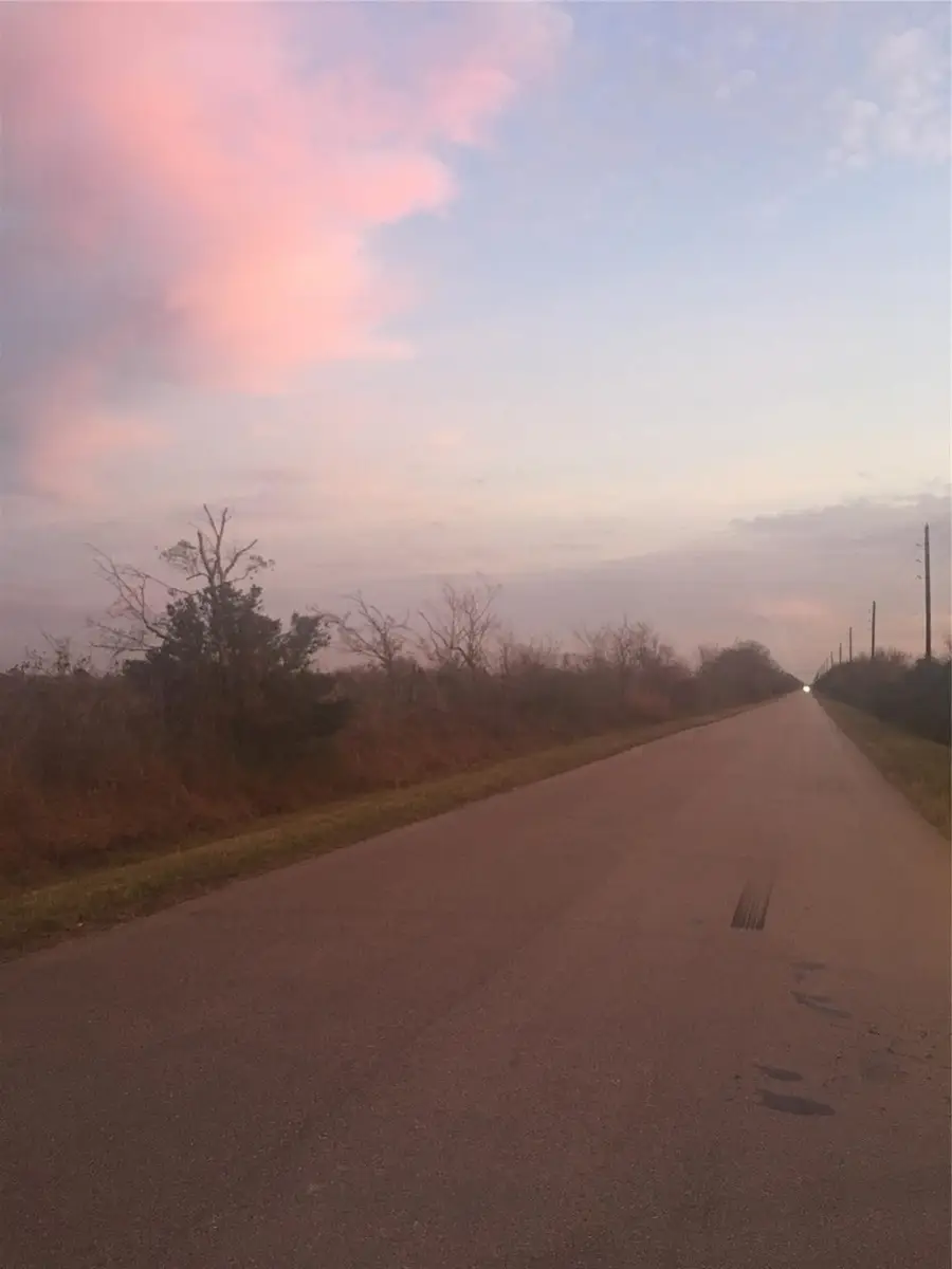 0 County Road 98, Manvel, TX 77578 - #2
