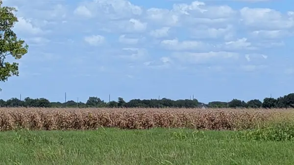 0000 Ward Bend Road, Sealy, TX 77474