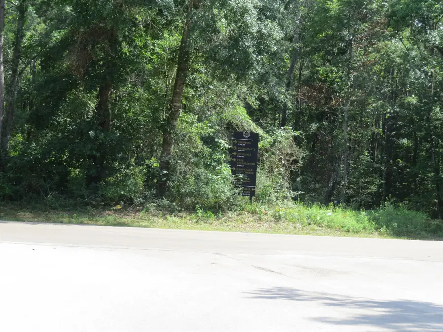 00 Texas Grand Road, Huntsville, TX 77340 - #2
