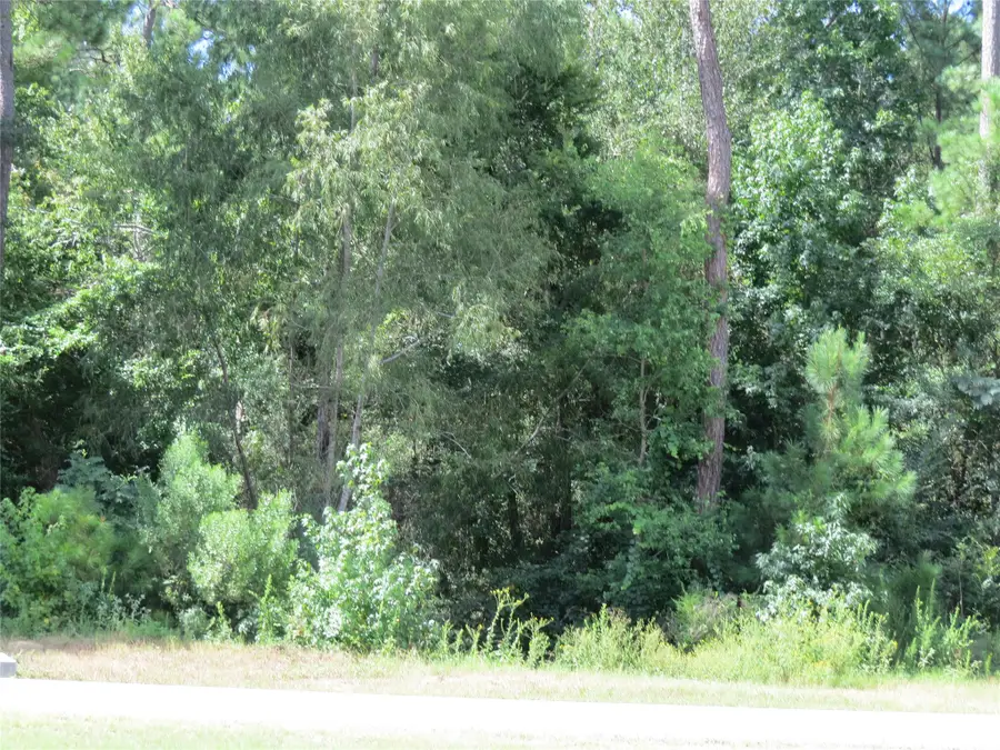 00 Texas Grand Road, Huntsville, TX 77340 - #3