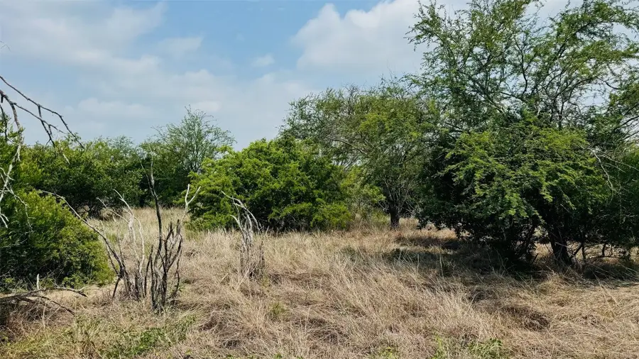 TBD Lot 3 5.28 AC Fm 888, Beeville, TX 78102 - #2