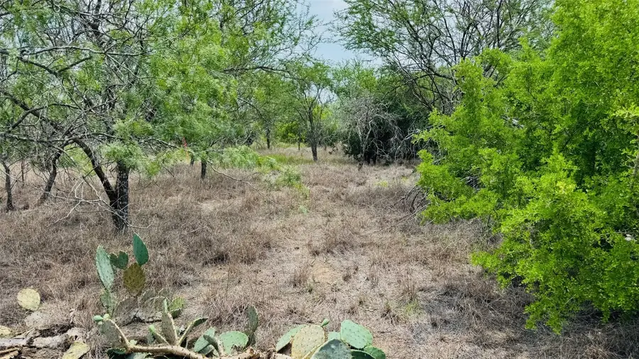 TBD Lot 3 5.28 AC Fm 888, Beeville, TX 78102 - #3