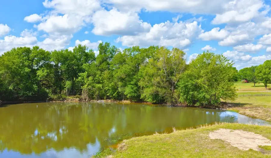 5916 Private Road 2003 - 17 Acres, Caldwell, TX 77836 - #3