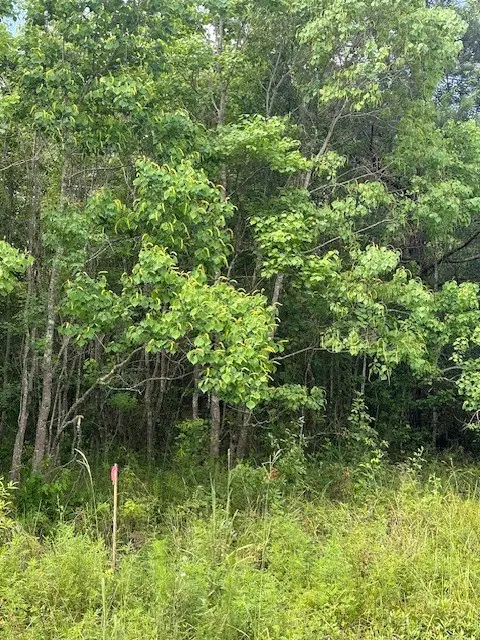 TBD 5 County Road 2223-b, Cleveland, TX 77327 - #3
