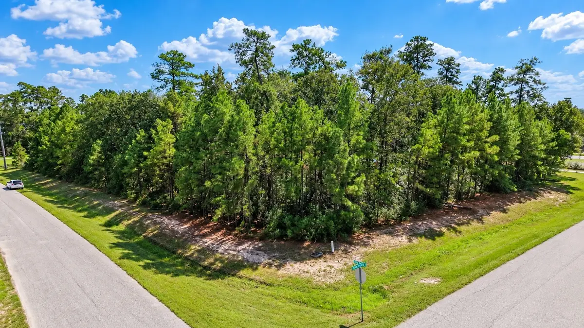 27414 Sgt Taylor Memorial, Spring, TX 77386 - #1
