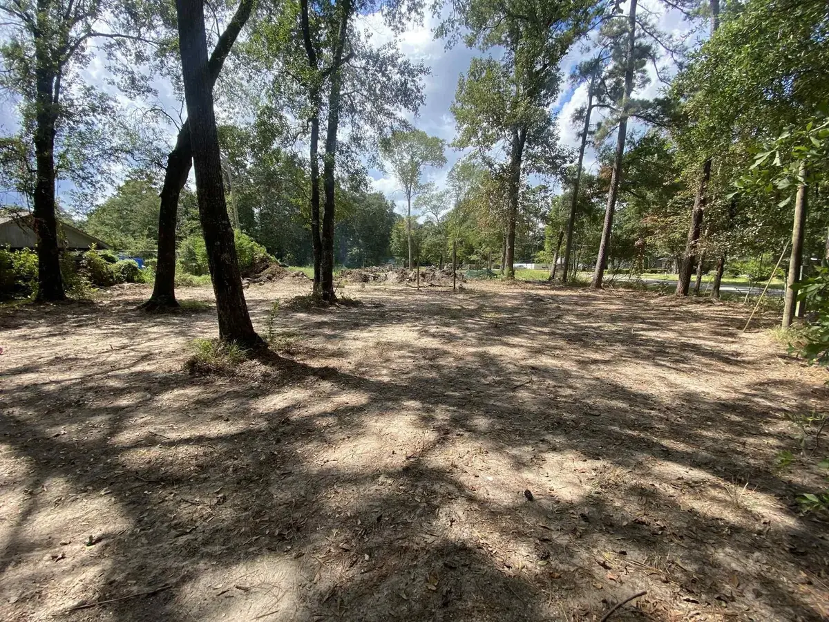 19626 Forest Dr W, New Caney, TX 77357 - #1