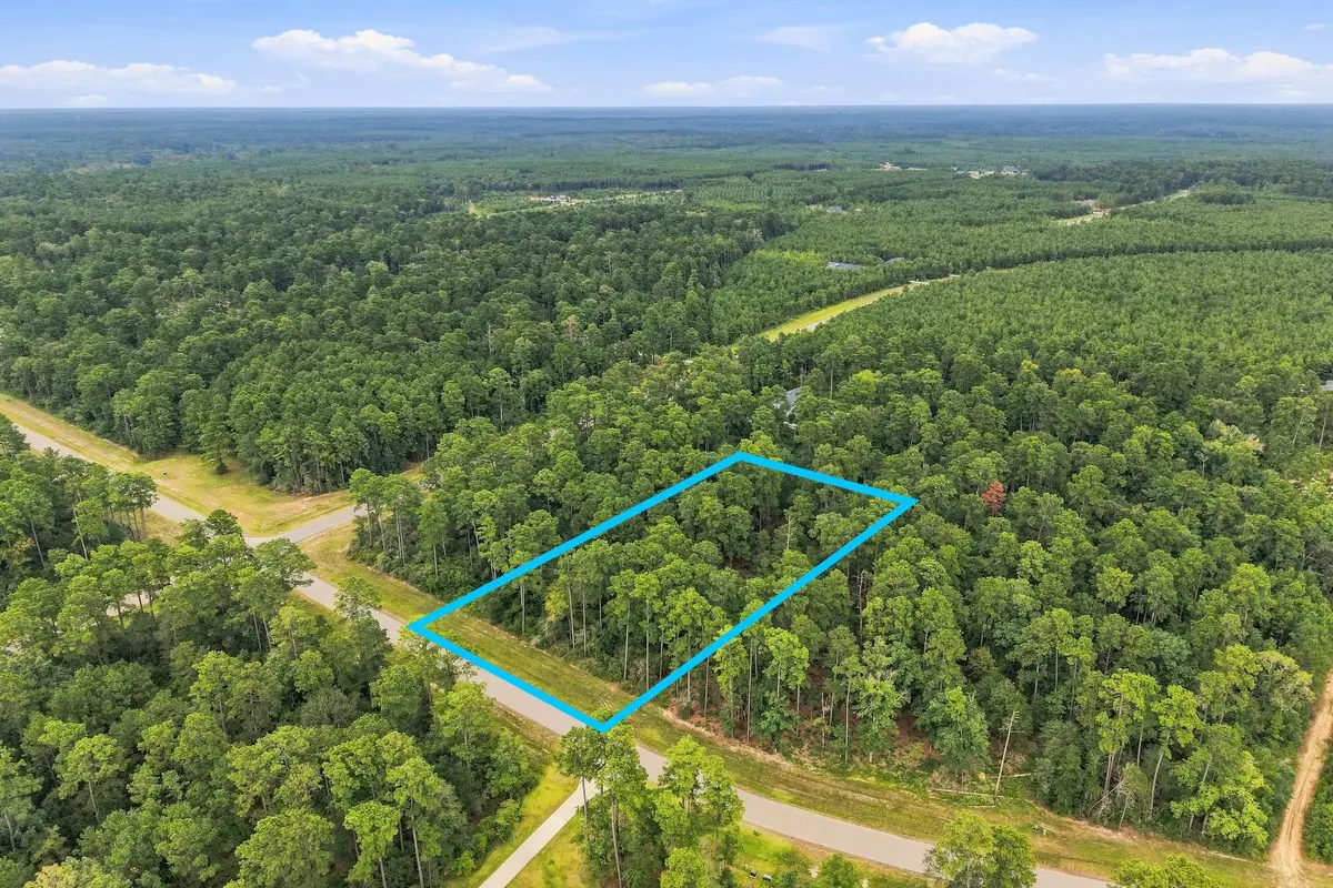 15890 Four Hills Road, Willis, TX 77378 - #1
