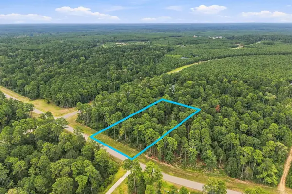 15890 Four Hills Road, Willis, TX 77378