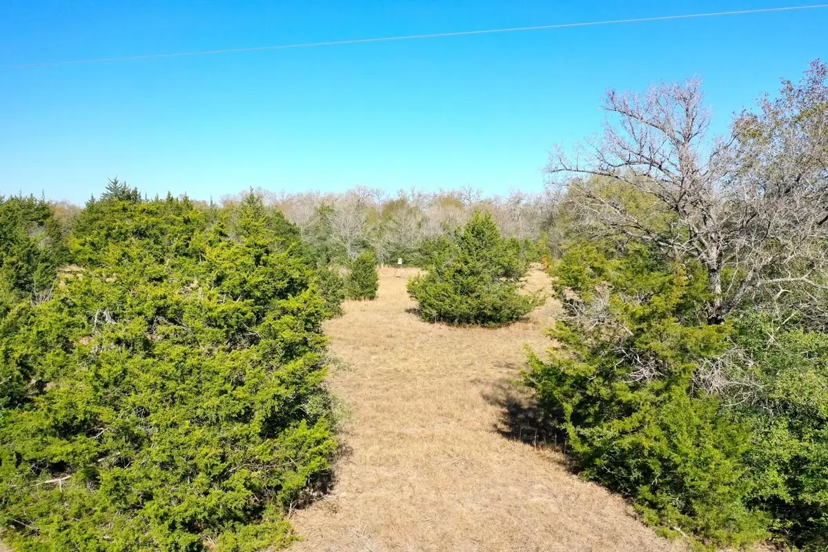 TBD Manning Lane, Madisonville, TX 77864 - #1