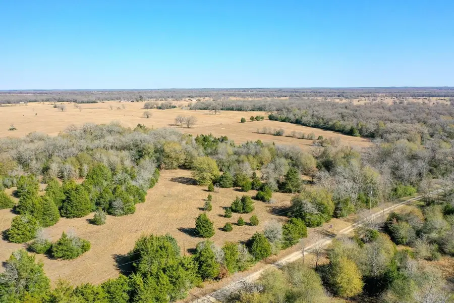 TBD Manning Lane, Madisonville, TX 77864 - #2