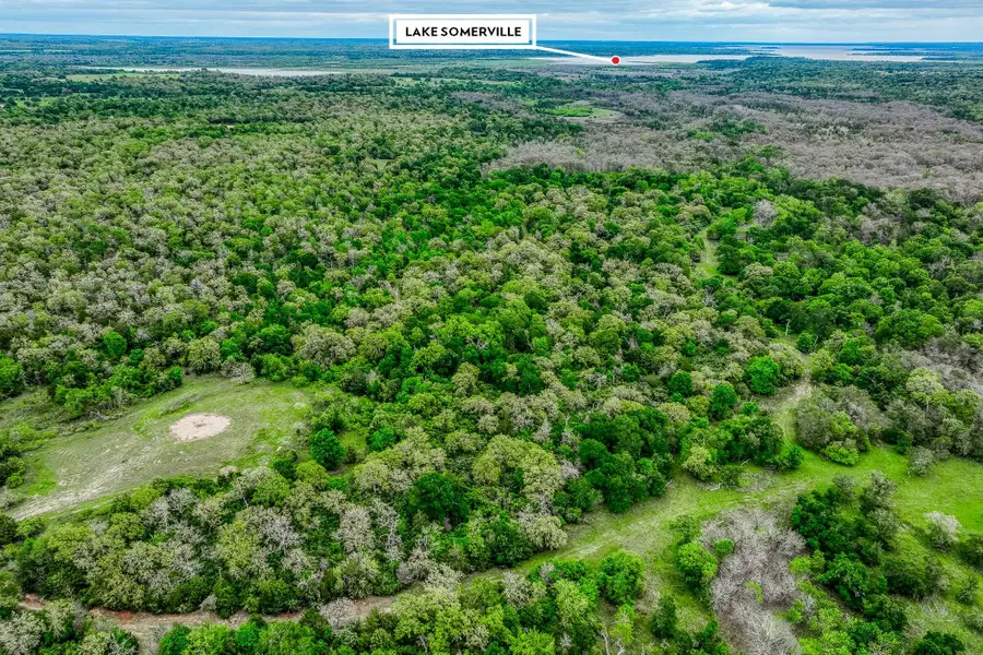 TBD (349.84 Acres) County Road 125, Ledbetter, TX 78946 - #2