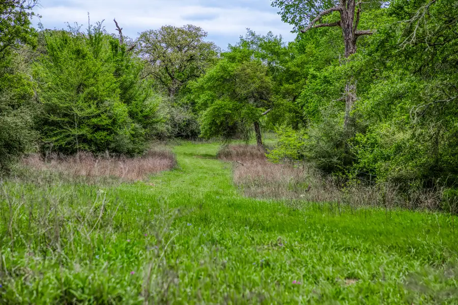 TBD (349.84 Acres) County Road 125, Ledbetter, TX 78946 - #3