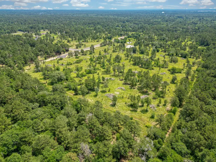 31839 Boone Road, Waller, TX 77484 - #3