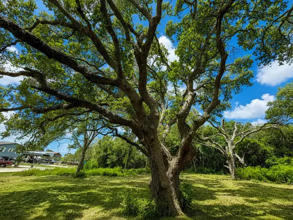 0 Riverside Drive, Palacios, TX 77465