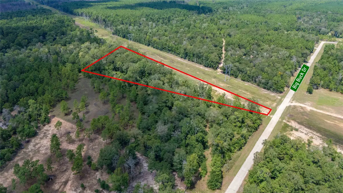 261 Big Buck Drive, Cleveland, TX 77328 - #1
