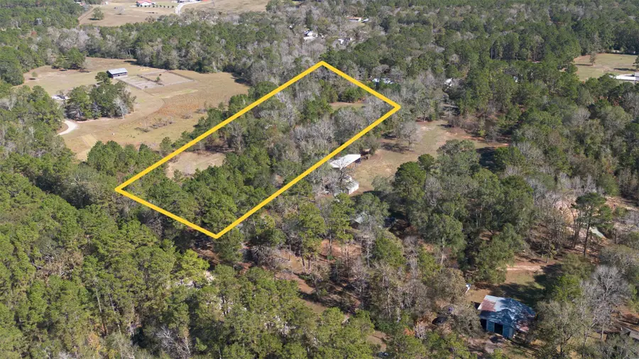 TBD Pine Shadows Road, Cleveland, TX 77328 - Image #3