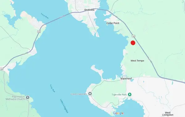 TBD Gray Fox, Livingston, TX 77351