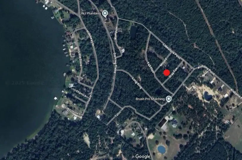 TBD Gray Fox, Livingston, TX 77351 - #2