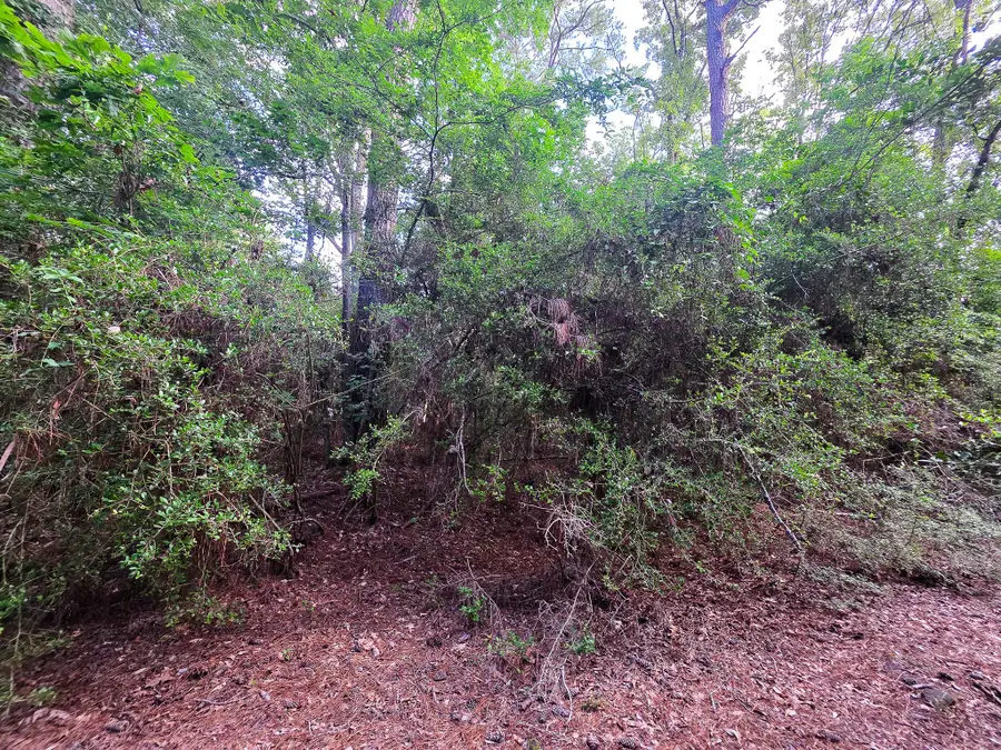 TBD Gray Fox, Livingston, TX 77351 - #3