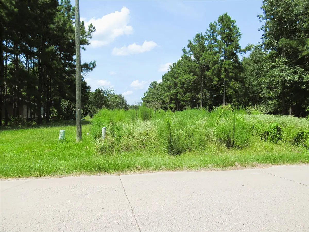 309 County Road 3405, Cleveland, TX 77327 - #1