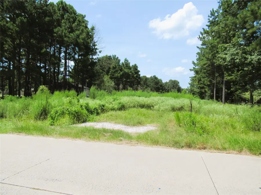 309 County Road 3405, Cleveland, TX 77327 - #3