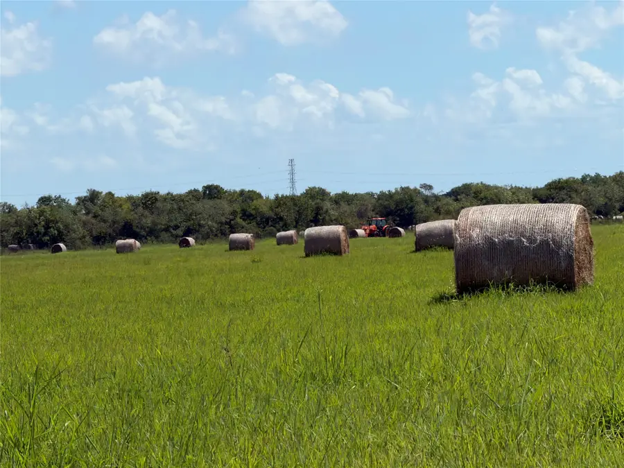 0 County Road 170, Alvin, TX 77511 - #2
