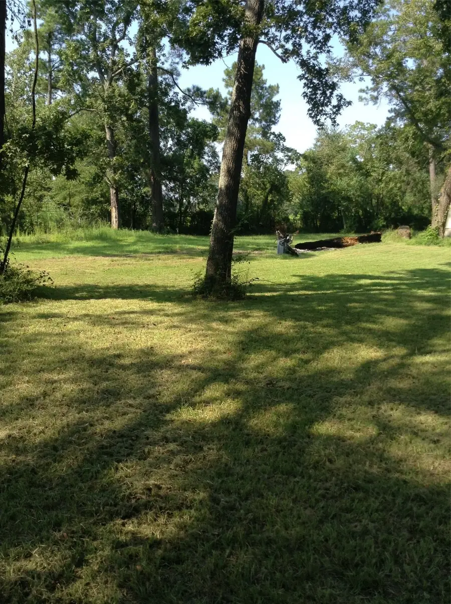 26340 Blackberry Lane, New Caney, TX 77357 - Image #3