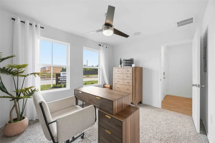 6013 Pineapple Street, Houston, TX 77048 - #2