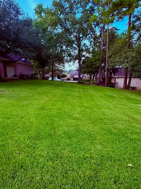 132 Winthrop Harbor South, Montgomery, TX 77356 - Image #1