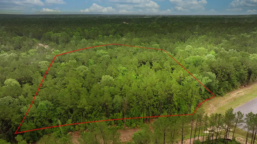 4809 Red Coyote Lane, Montgomery, TX 77316 - #2