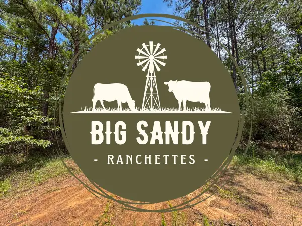 T-9 Benny Griffin Road, Livingston, TX 77351