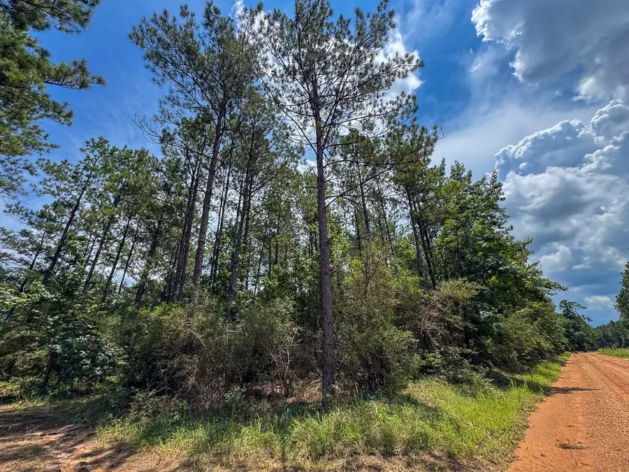 T-9 Benny Griffin Road, Livingston, TX 77351 - #3