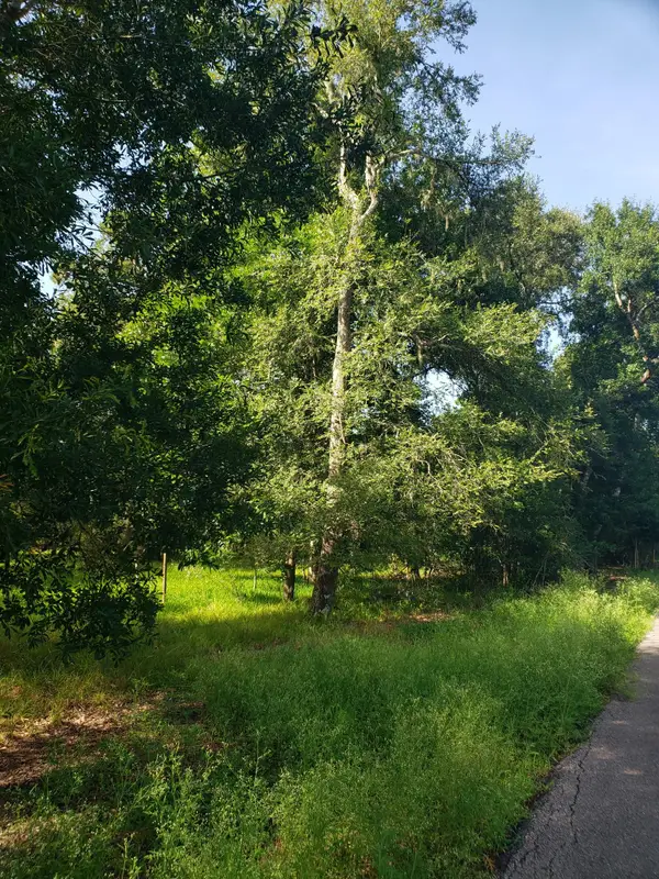 20921 Levee Road Road, Guy, TX 77444