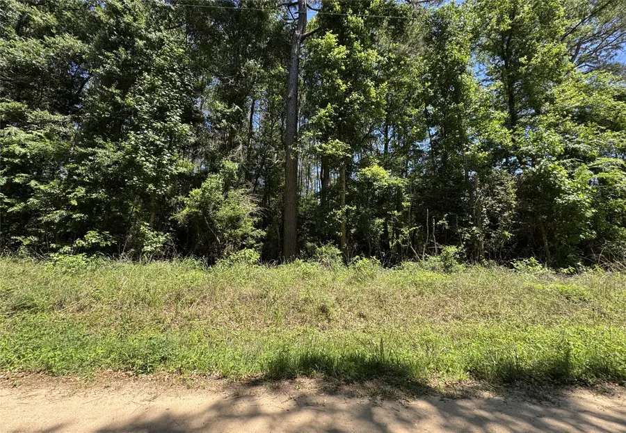 2374 Holly Grove Rd, Livingston, TX 77351 - #3