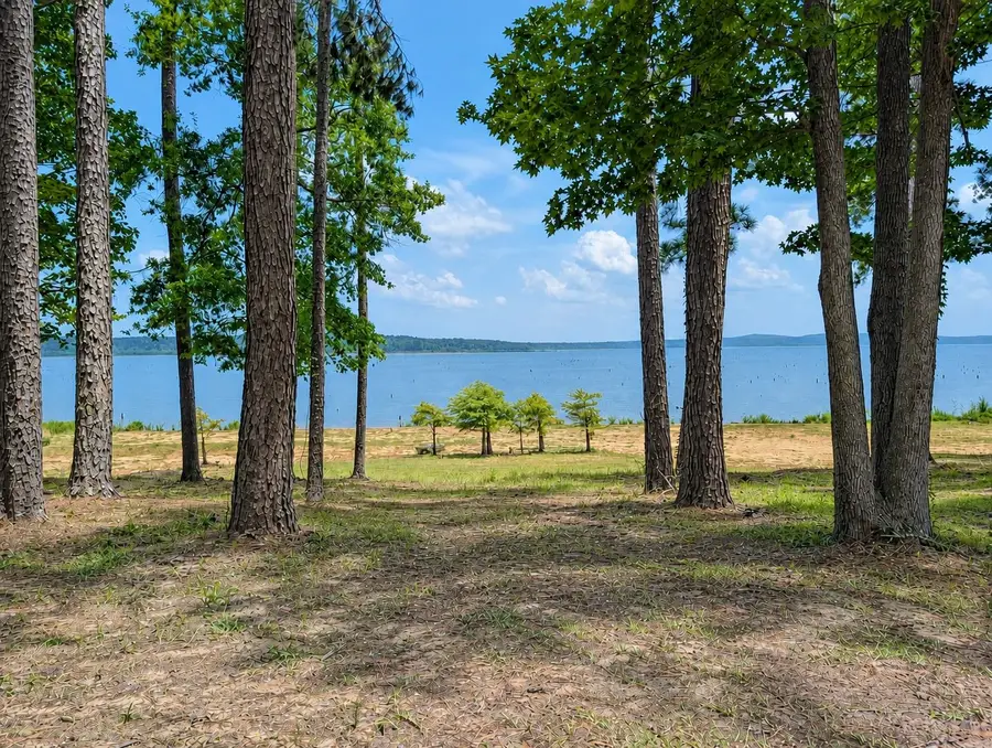 636 Campoli Road, Etoile, TX 75944 - #3
