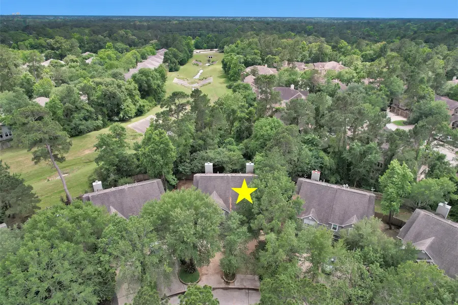191 Blushwood Place, The Woodlands, TX 77382 - #2