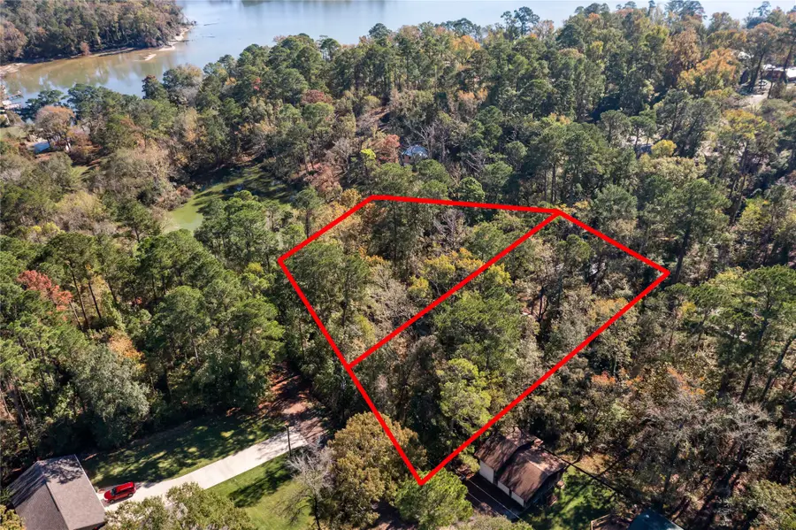 0 Lakeview Drive, Point Blank, TX 77364 - #2