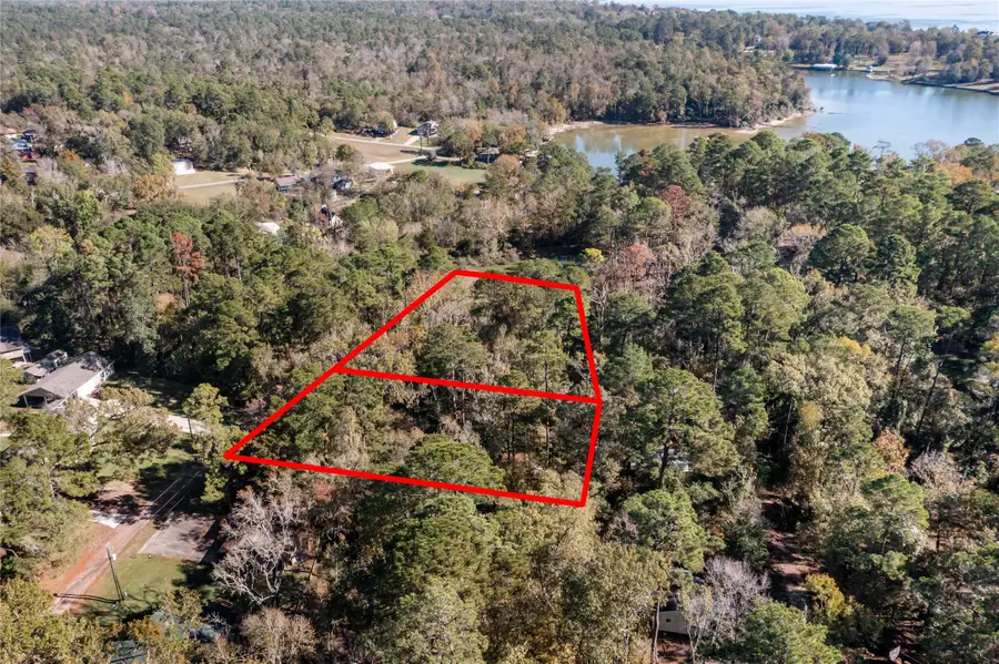 0 Lakeview Drive, Point Blank, TX 77364 - #3