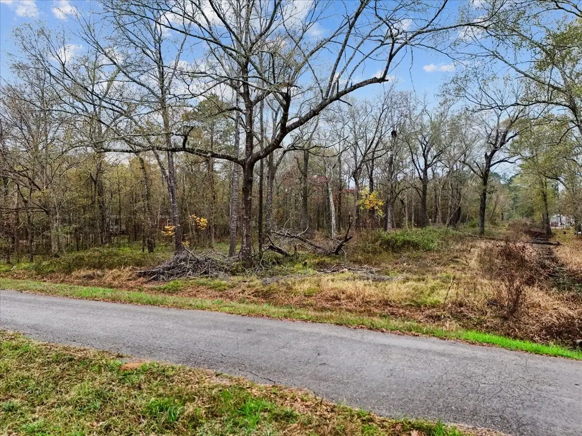 1209 County Road 2145, Cleveland, TX 77327 - #1