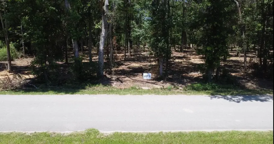 0 Crowley Road, Conroe, TX 77301 - #2