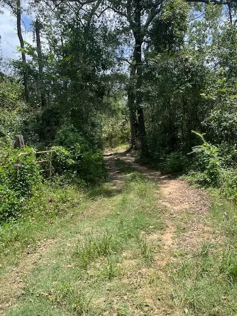 13994 Walker Road, Conroe, TX 77302 - Image #2