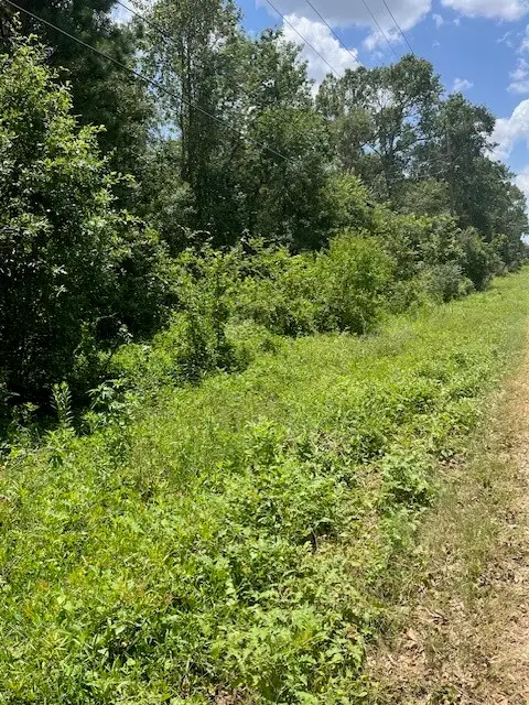 13994 Walker Road, Conroe, TX 77302 - Image #3