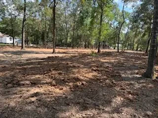 33014 Octavia Drive, Magnolia, TX 77354