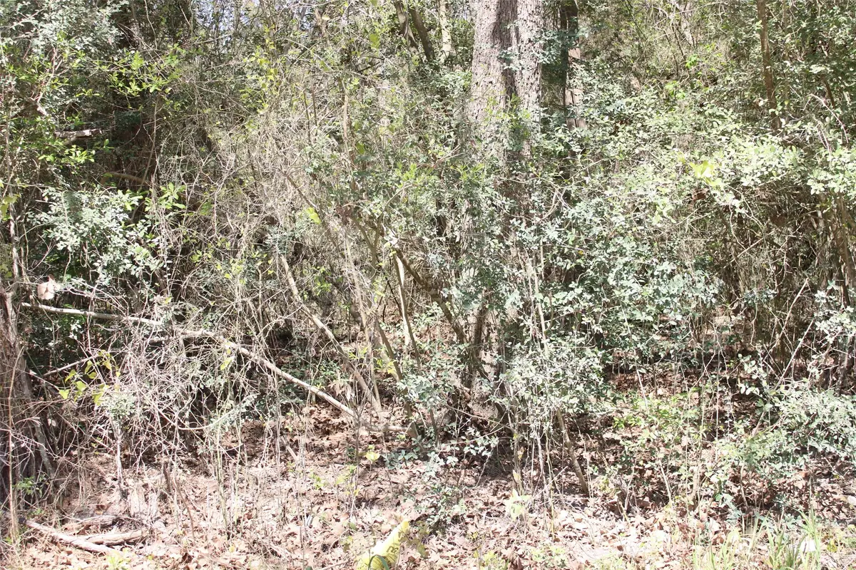 0 Knotty Pine Lane, Huntsville, TX 77340 - #1