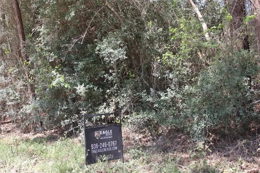 0 Knotty Pine Lane, Huntsville, TX 77340 - #3