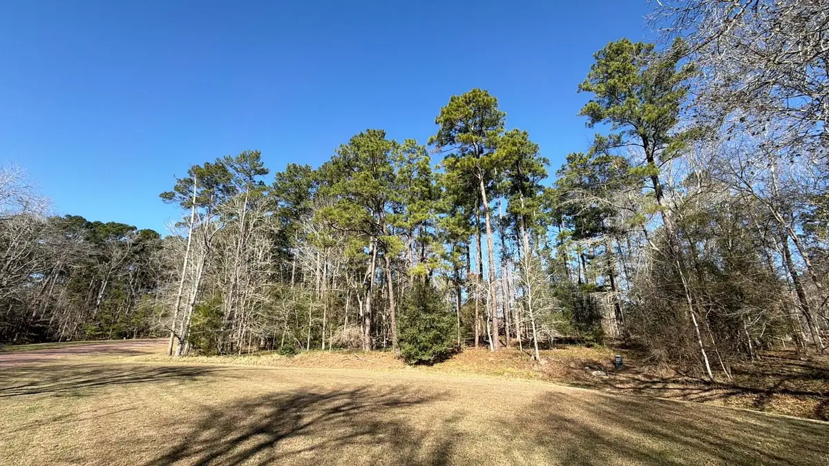 0 S Royale Greens Drive, Coldspring, TX 77331 - Image #1