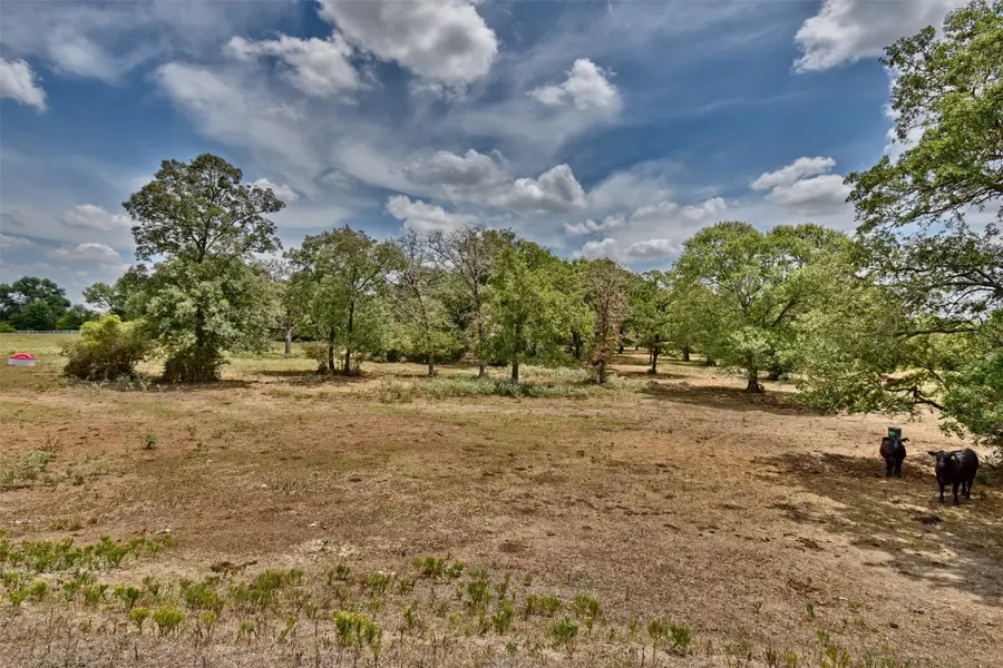 0 Mt Vernon Road, Brenham, TX 77833 - #2