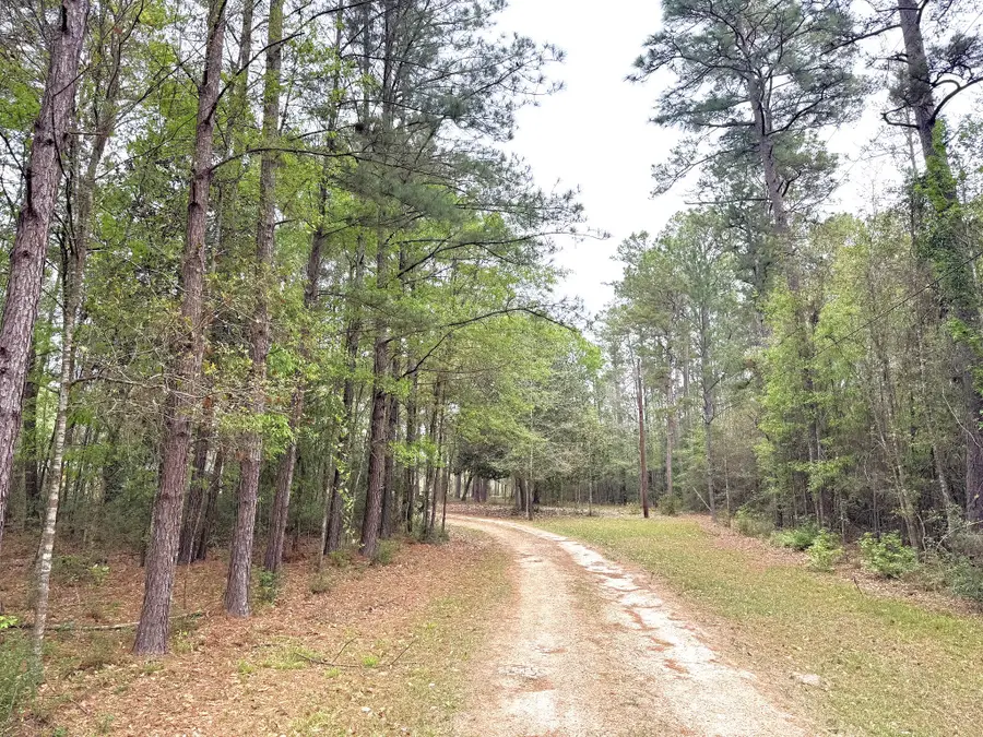 297 County Road 4479, Warren, TX 77664 - #3