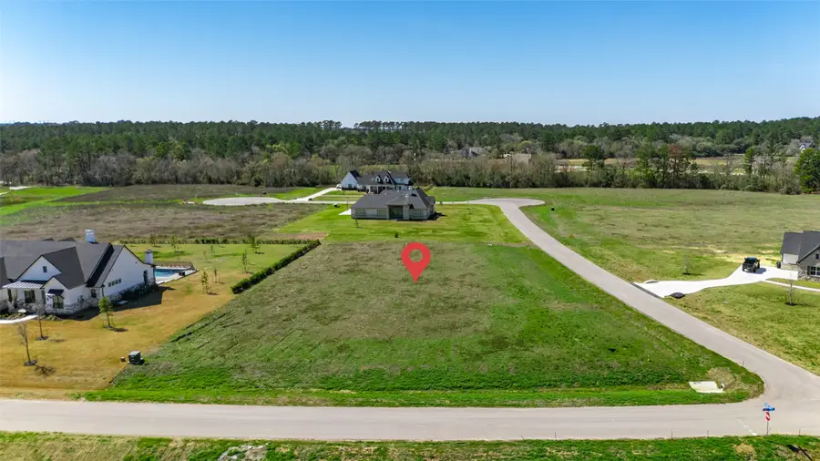 8572 Cedar Lake Lane, Plantersville, TX 77363 - #2