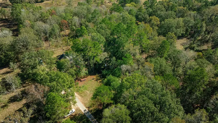 18533 Fm 1485 Road, New Caney, TX 77357 - #3